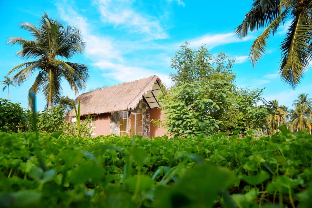 Coco Village Hotel Chilaw Bangadeniya Exterior foto